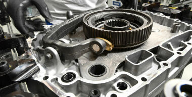 фото globallookpress.com