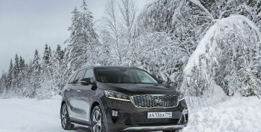 Фото: Алексей Барашков