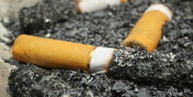 фото globallookpress.com