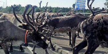 Фото: thebarentsobserver.com