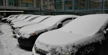 Фото: globallookpress.com