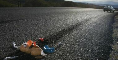 Фото: www.adeevee.com