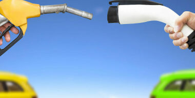 Фото: zelig880.com