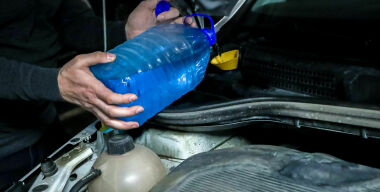 Фото: globallookpress.com