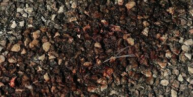 Фото: pixabay.com