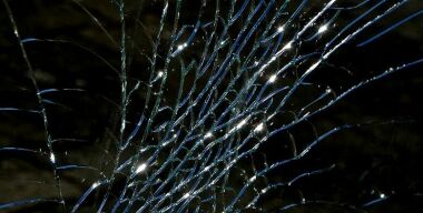 Фото: pixabay.com