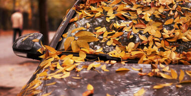 Фото www.inandoutcarwashcharleston.com