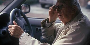 ГИБДД разрешит водить машины слепоглухонемым с помощью собак-поводырей