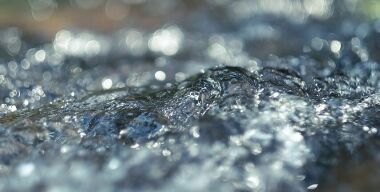 Фото: pixabay.com