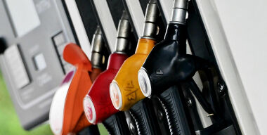 Фото: globallookpress.com