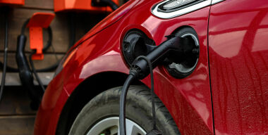 Фото: globallookpress.com