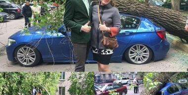 16 человек и 2000 авто пострадали от урагана в Москве