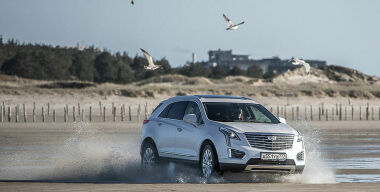 Фото: Евгений Головач