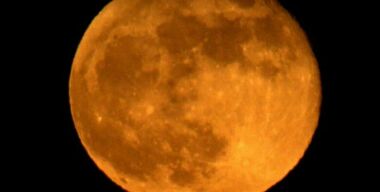 Фото s-media-cache-ak0.pinimg.com