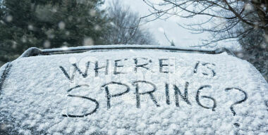 /images.freeimages.com/