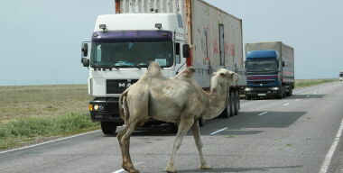 Фото Константин Гусев