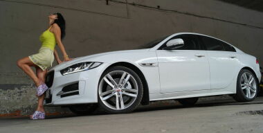 Фото: Вячеслав Василенко