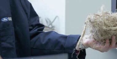 Ford будет делать машины из текилы