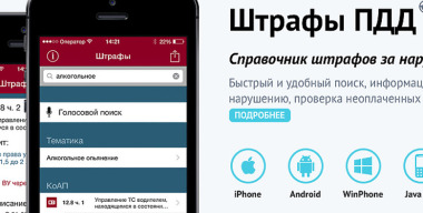 Столичного водителя за год оштрафовали 75 раз на общую сумму 280 000 рублей