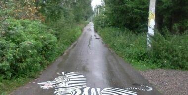 С российских дорог уберут пешеходные «зебры»