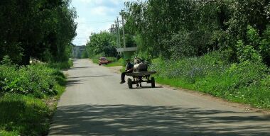 В «правах» введут категорию «водитель кобылы»