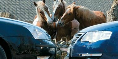 Госдума хочет отменить транспортный налог 
