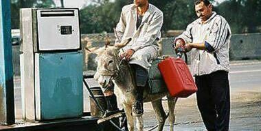 Сколько и как зарабатывает заправщик на АЗС 