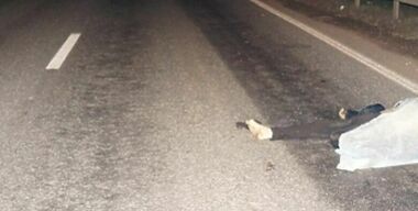 ГИБДД: у пешеходов отсутствует инстинкт самосохранения