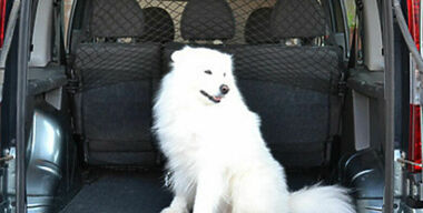 И собаке будет удобно