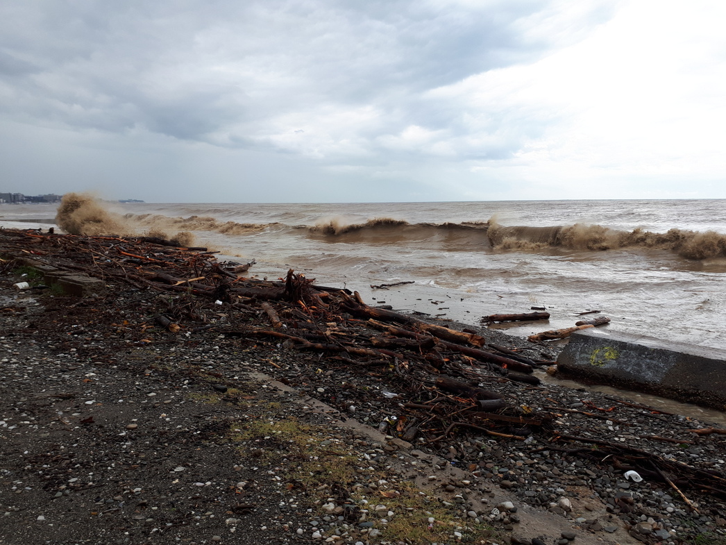 После шторма, пляжи были усеяны поваленными деревьями и мусором