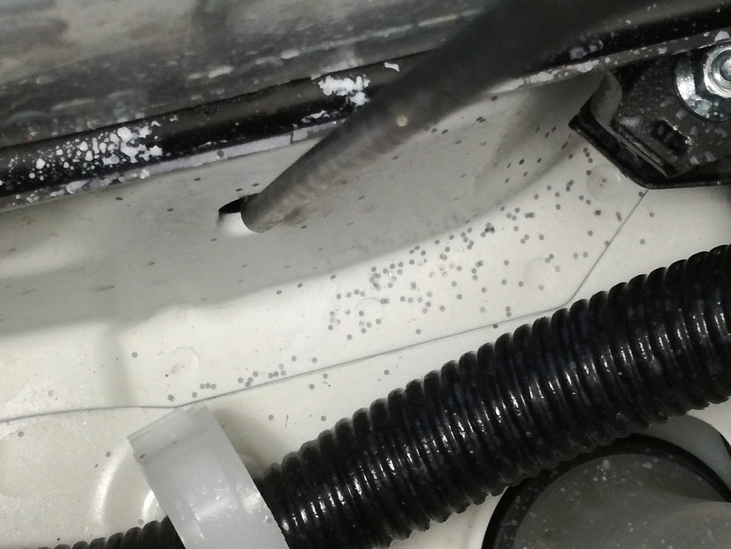 Это отнюдь не брак или повреждения лакокрасочного покрытия. Это - те самые противоугонные метки Toyota T-mark.