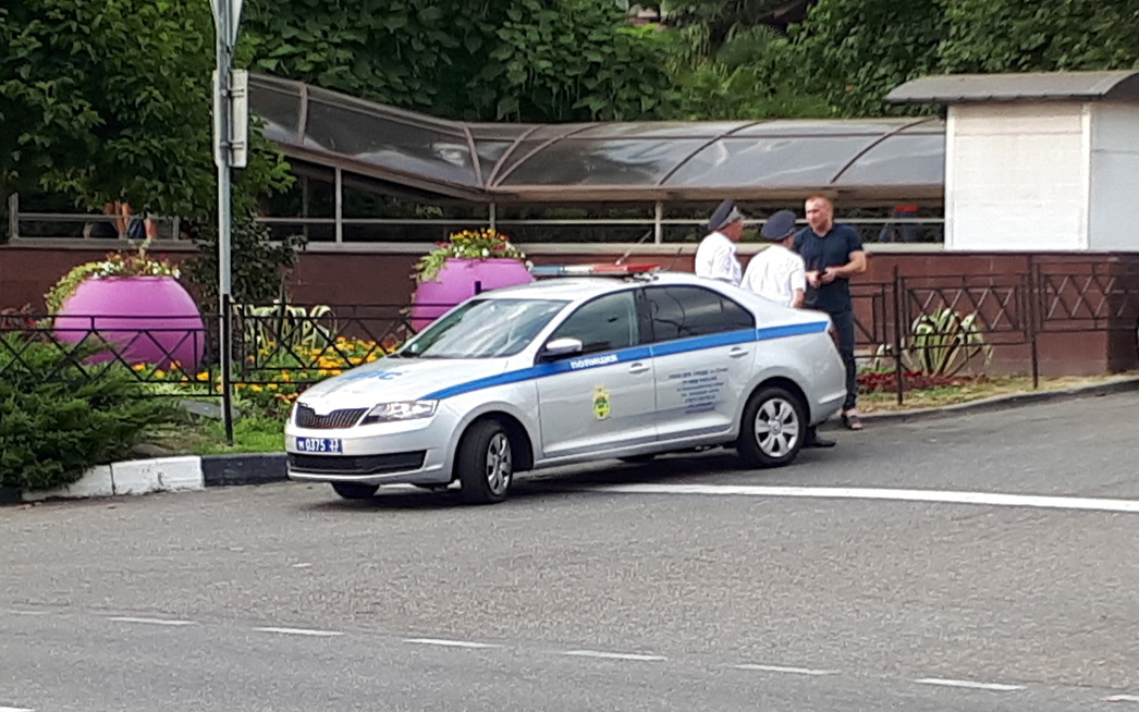 Гаишников можно увидеть везде.