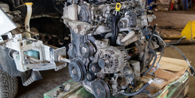 фото: globallookpress.com