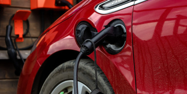 Фото: globallookpress.com