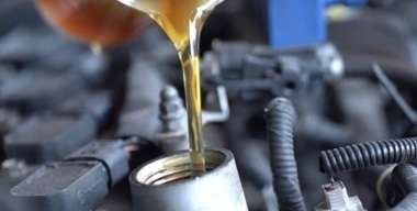 Фото vecteezy.com