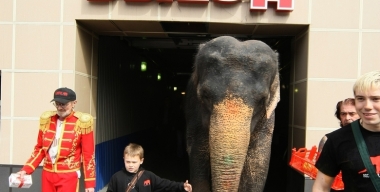 Фото globallookpress.com