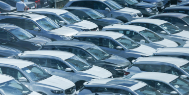 Фото: globallookpress.com