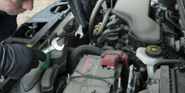 Фото globallookpress.com