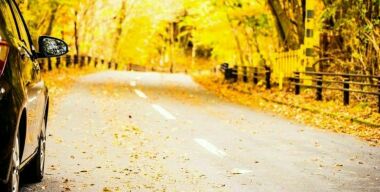 Фото: lifeforstock-ru.freepik.com