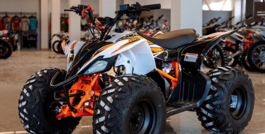 Выбираем квадрицикл в дачный гараж