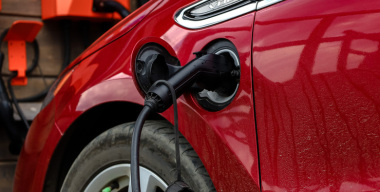 Фото globallookpress.com