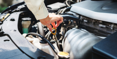 Фото: freepik.com