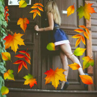 Аватар пользователя