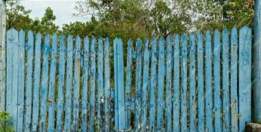 Фото freepik.com