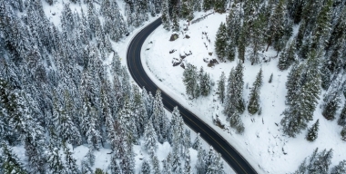 Фото: freepik.com