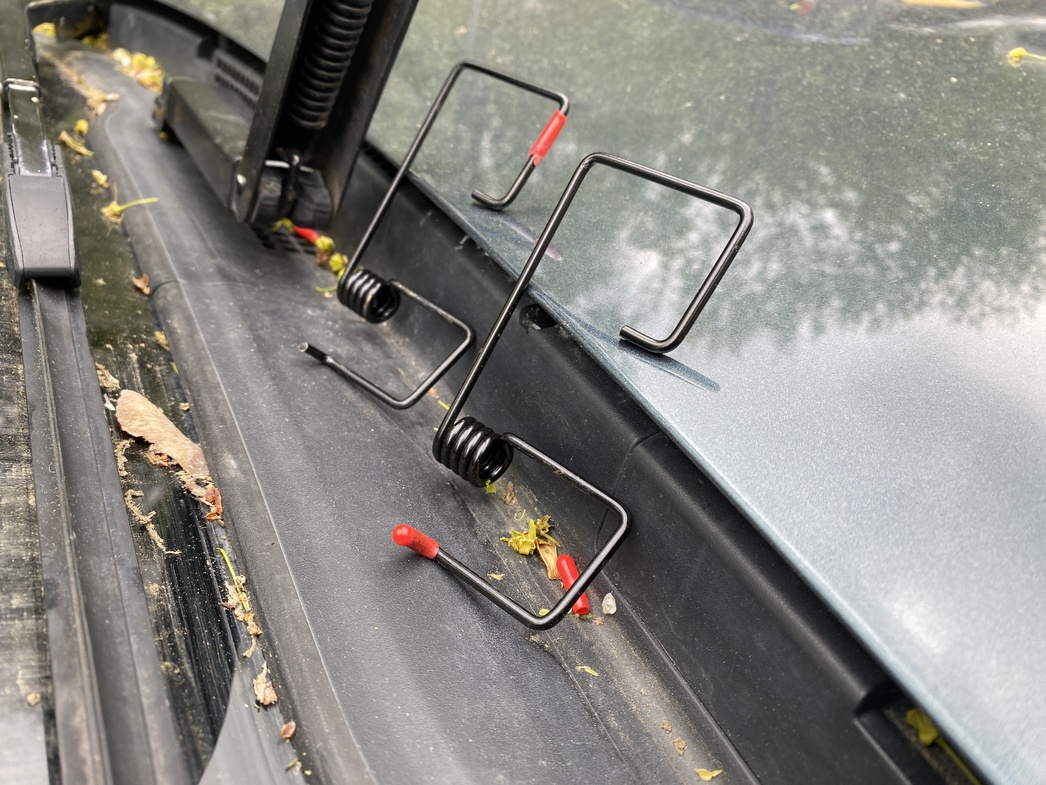 Фото портала «АвтоВзгляд»