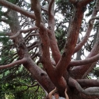 Аватар пользователя