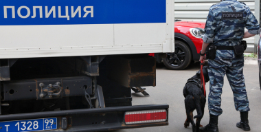 Виновника смертельного ДТП под Тюменью нашли в лесу с помощью служебной собаки