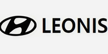 В России запатентовали Hyundai Leonis