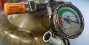 Фото: globallookpress.com